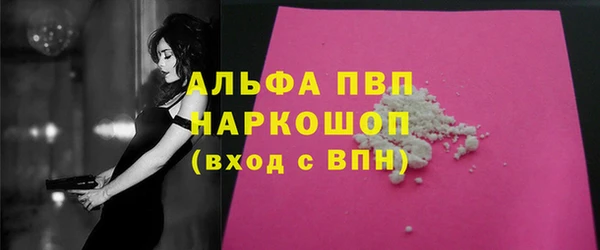 спайс Бородино