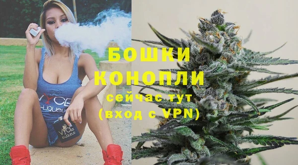 Альфа ПВП Бугульма