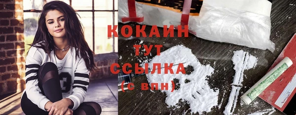 спайс Бородино