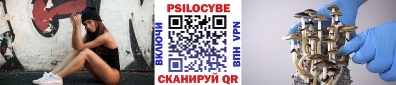Псилоцибиновые грибы мицелий  гидра сайт  Междуреченск 